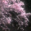 GaDoStb's avatar