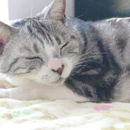 可以嚶但没必要