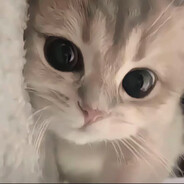 青青草原之独立团阿里噶多美羊羊桑