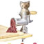 cat in a meat grinder