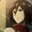 Mikasa Ackerman