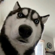 十年纯爱战神网恋被ntr