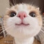 Suki