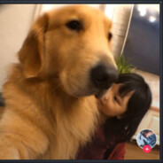 且饮清风独自乐