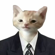 [REB]cutegirl_战貓