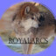 RoyalArcs