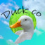 Theduckishere