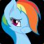 rainbowdashoficalpoy16