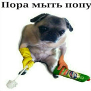 Сашка бхопер