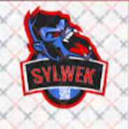 Sylwek2004