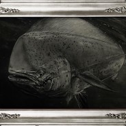 ♫♬♪金快樂♫♬♪