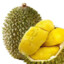 Sầu Riêng