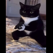 ANNRRRRR
