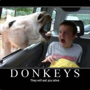Dirty Donkey