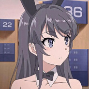 胡萝卜骑士