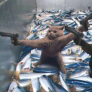 你好像狙到我了.