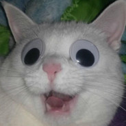 I'm_not_out_of_name_ideas