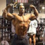 Kevin levrone