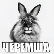 Реактивная Писа