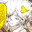 BeermanQuad avatar