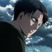 капитан Levi