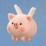 全世界最猛的猪