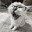 deNice-