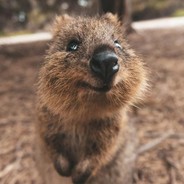 Piecito - steam id 76561197961811500