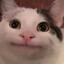 Wexide