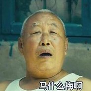 暗夜猎手  冬梅