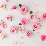 请开始你的表演