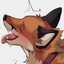 KNOTTY FOX