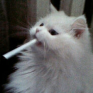 Максим Куколдов