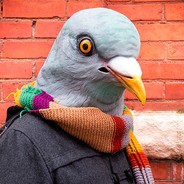 Голубиный карате - steam id 76561198218031417