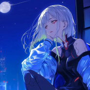 爱月亮的猫先生