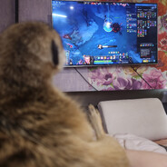Koors