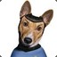 Cão Spock