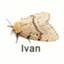 Iv4an