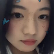 KD3.0的威龙宝宝