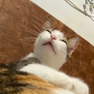 K1t - steam id 76561198085761797