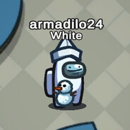 armadilo24