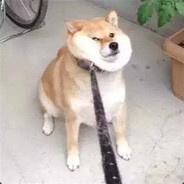 白给一波无可厚非吧