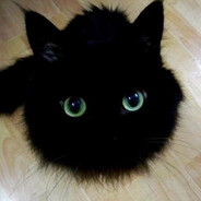 AAA.泡面编织百师傅