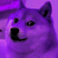 DARK DOGE GAMING