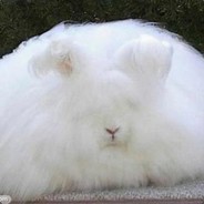 我怎么样？啊？