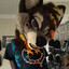 Bad Dragon Conqueror