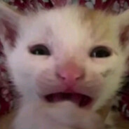 хахольчик 25 см