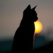 April sunset on earth