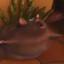 emile tha rat