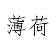 薄荷今天吃什么